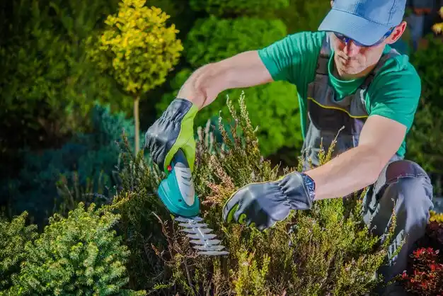 landscaping services Wardsville